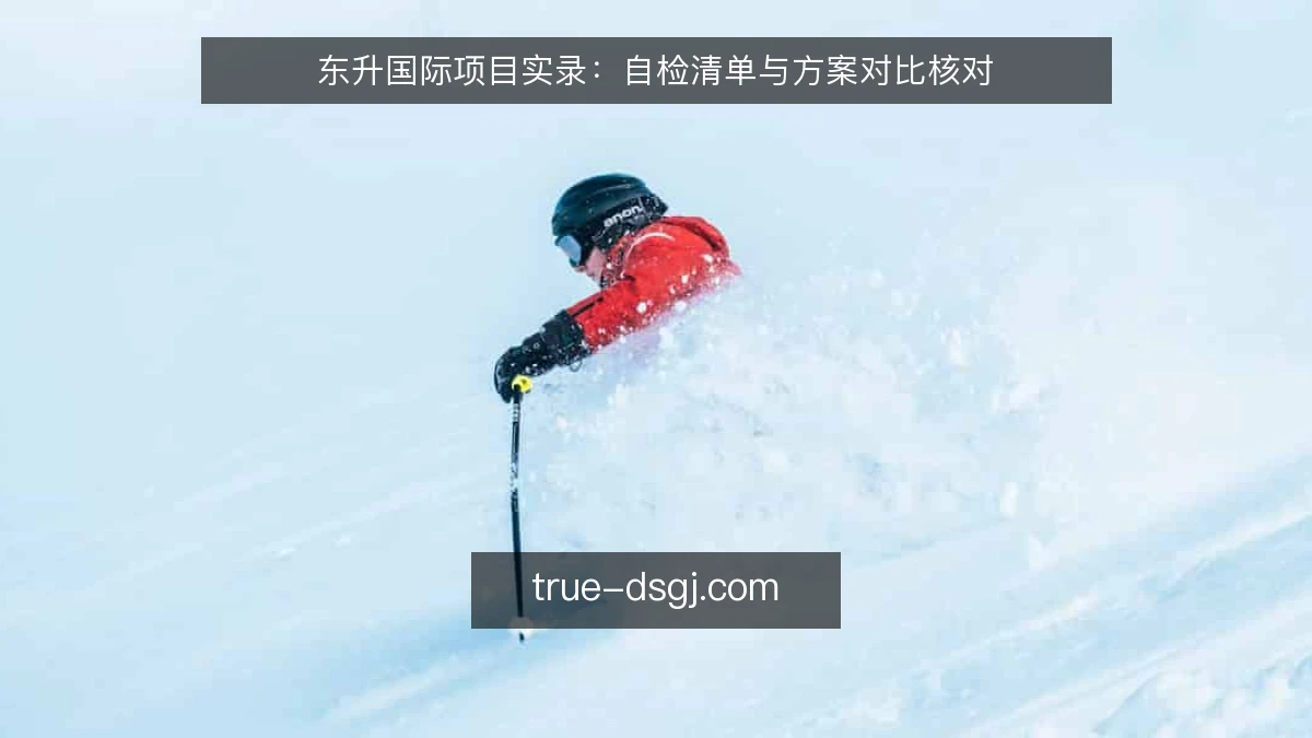 东升国际项目实录:自检清单与方案对比核对