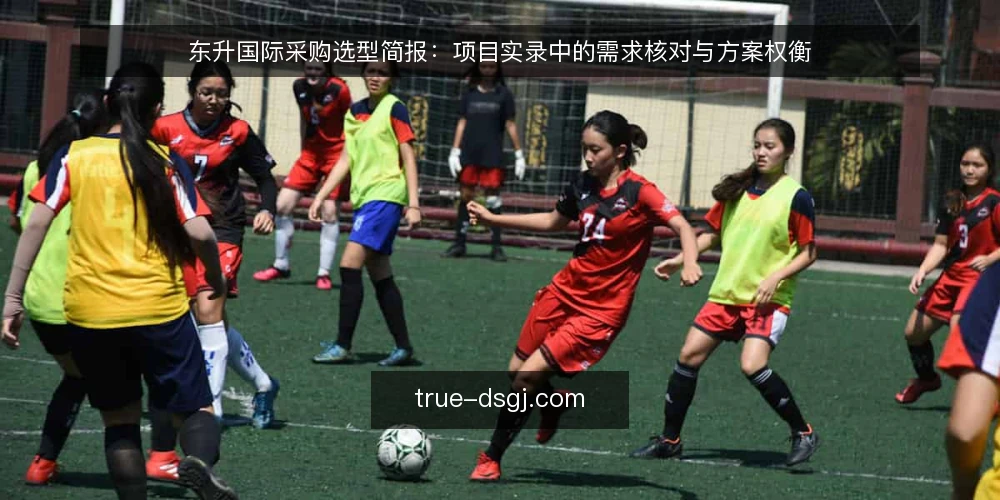 东升国际采购选型简报：项目实录中的需求核对与方案权衡 — 需求定义：明确采购边界与目标 配图