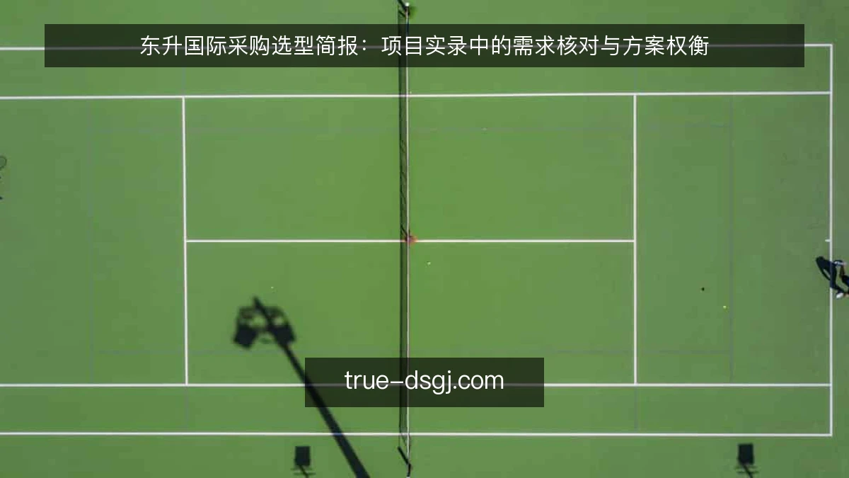 东升国际采购选型简报：项目实录中的需求核对与方案权衡