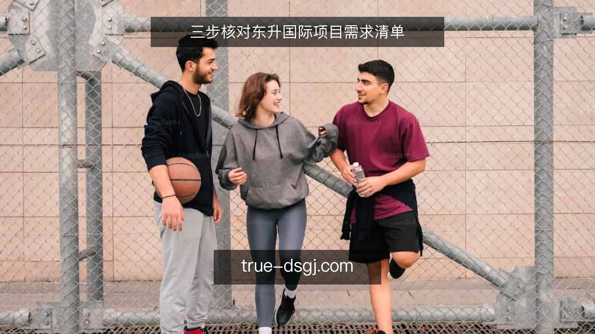 三步核对东升国际项目需求清单