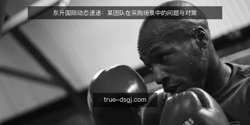 东升国际动态速递:某团队在采购场景中的问题与对策 — 场景设定:某团队的采购困境 配图