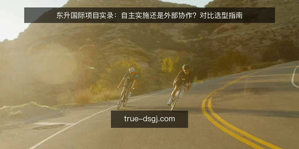东升国际项目实录:自主实施还是外部协作?对比选型指南 — 决策标准:项目实录中的选型依据 配图