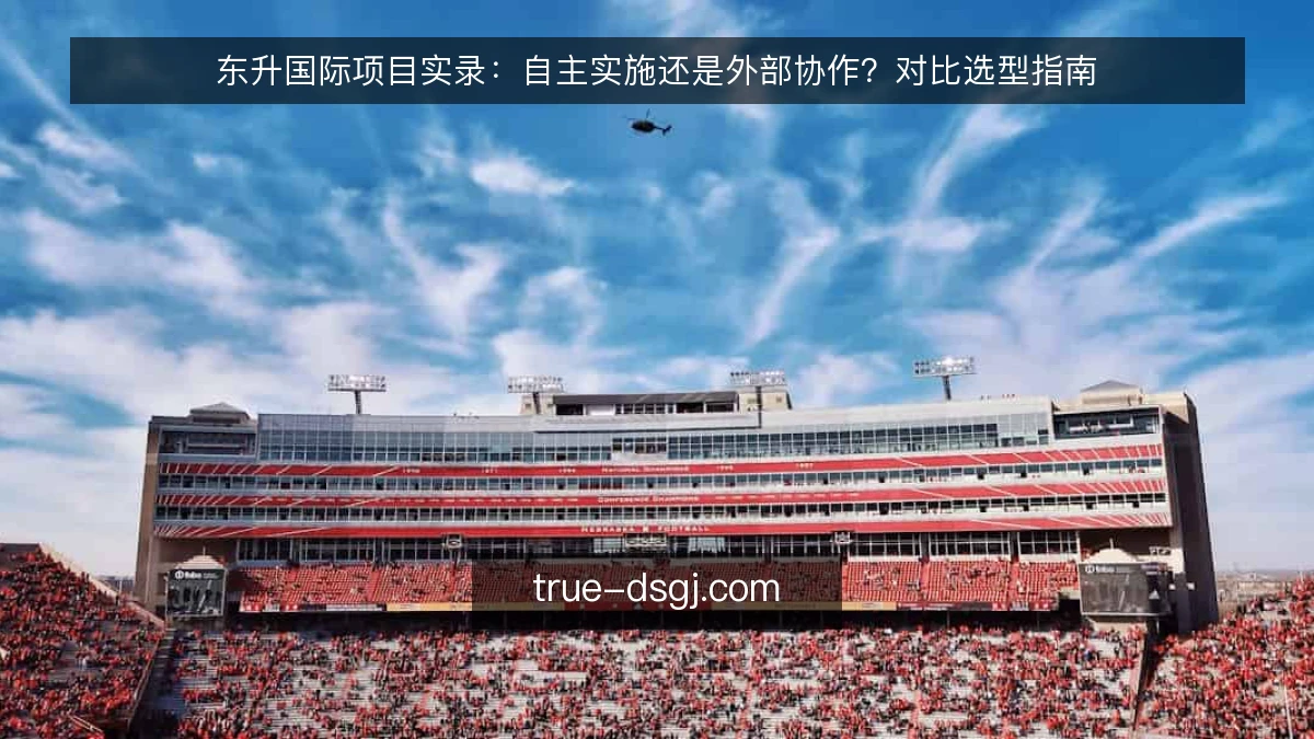 东升国际项目实录:自主实施还是外部协作?对比选型指南