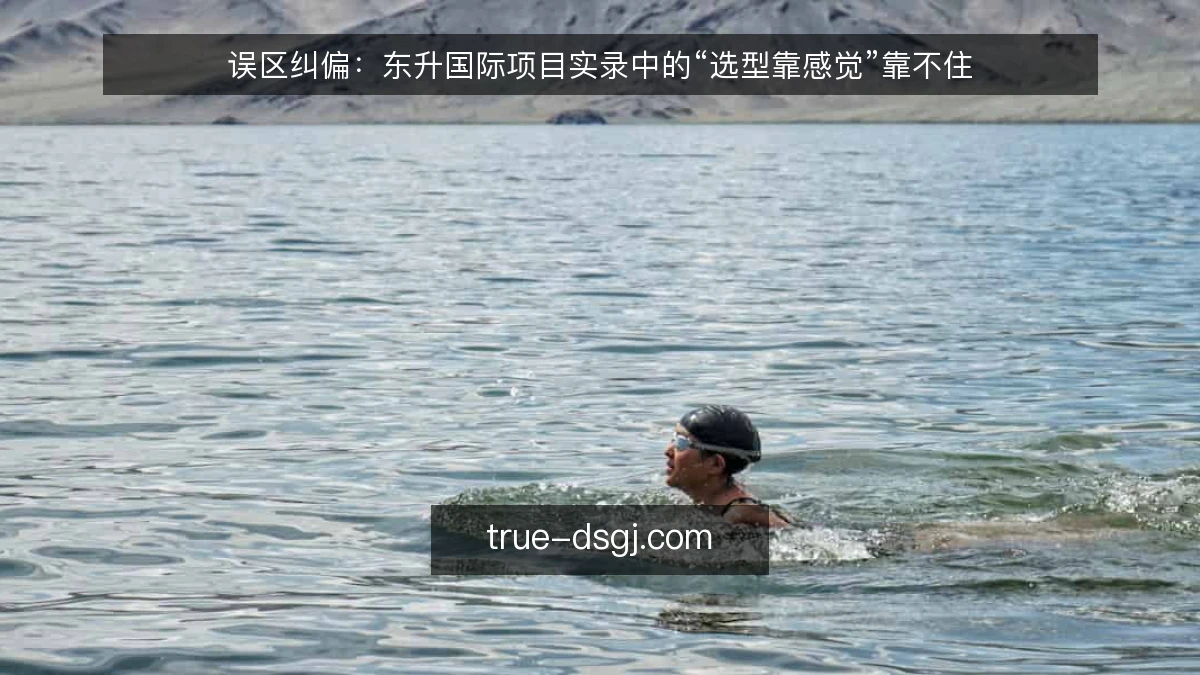 误区纠偏:东升国际项目实录中的“选型靠感觉”靠不住