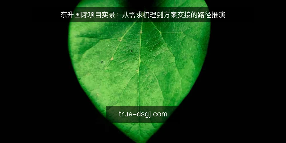 东升国际项目实录:从需求梳理到方案交接的路径推演 — 场景设定:一个需要选型的团队 配图