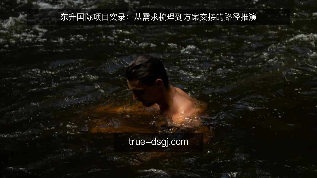 东升国际项目实录:从需求梳理到方案交接的路径推演
