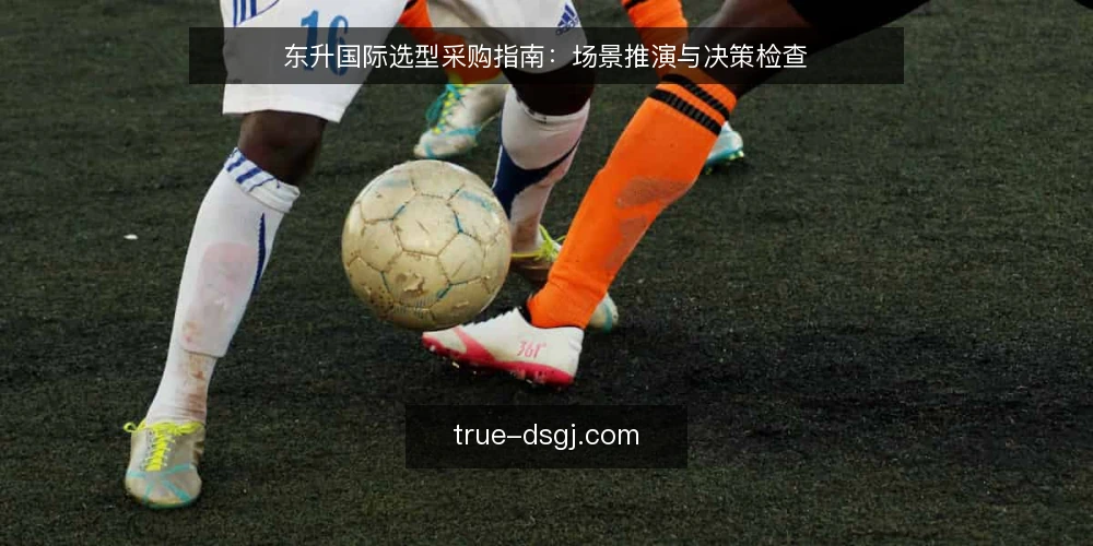 东升国际选型采购指南:场景推演与决策检查 — 场景设定:采购团队面临东升国际选项 配图