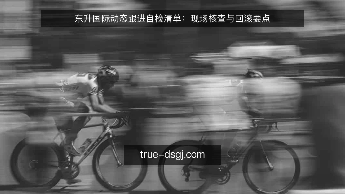 东升国际动态跟进自检清单:现场核查与回滚要点