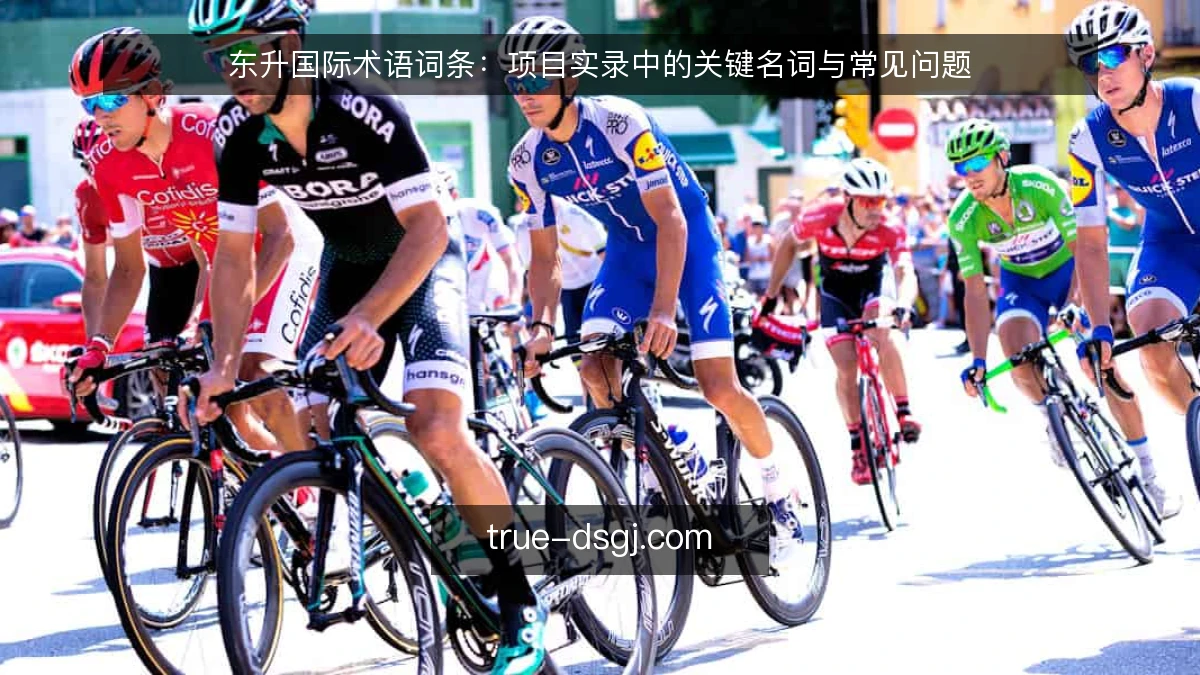 东升国际术语词条：项目实录中的关键名词与常见问题