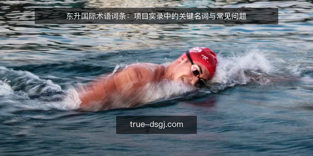 东升国际术语词条：项目实录中的关键名词与常见问题 — 东升国际项目实录中的核心术语有哪些？ 配图