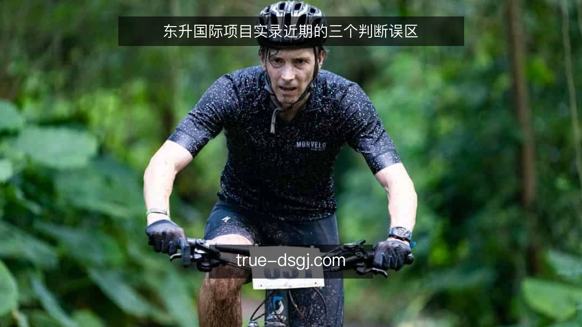 东升国际项目实录近期的三个判断误区