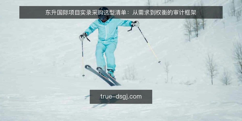 东升国际项目实录采购选型清单:从需求到权衡的审计框架 — 为什么现在要做采购审计 配图