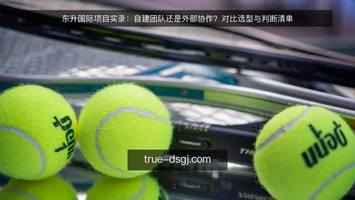 东升国际项目实录:自建团队还是外部协作?对比选型与判断清单