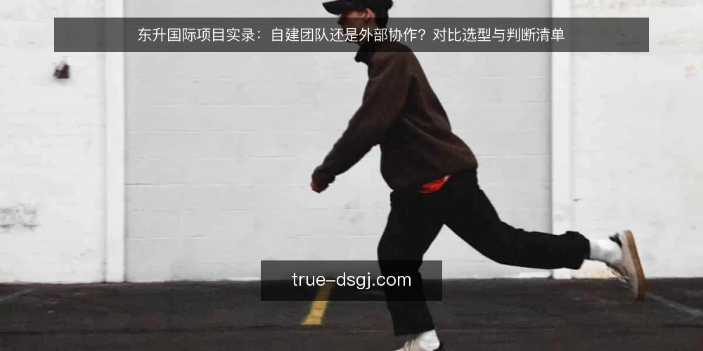 东升国际项目实录:自建团队还是外部协作?对比选型与判断清单 — 先定评估标准:项目实录要比较哪些维度 配图