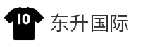 东升国际
