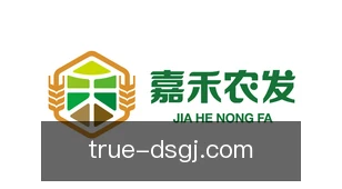 东升国际