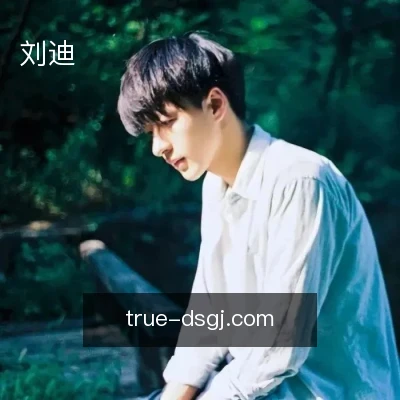刘迪